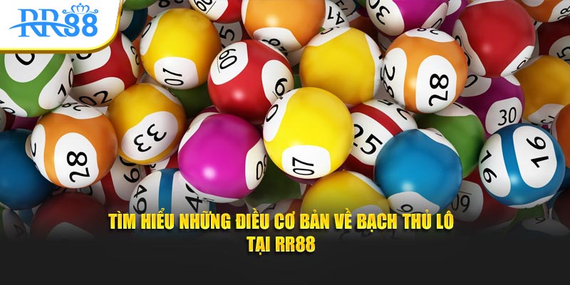Tìm hiểu những điều cơ bản về bạch thủ lô tại RR88